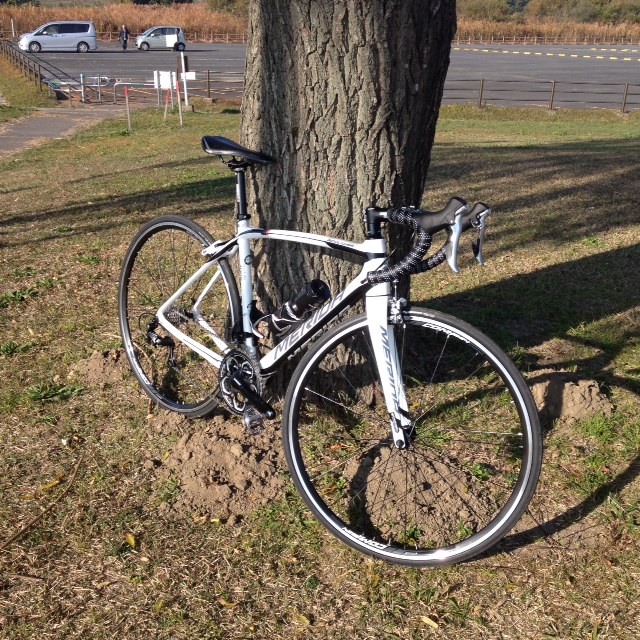 ��M ����֋�blog