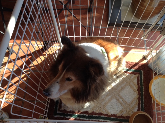 ��M ����֋�blog