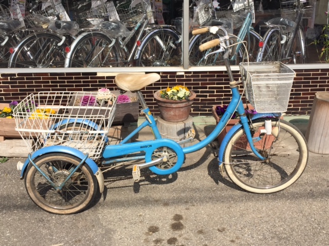 ��M ����֋�blog