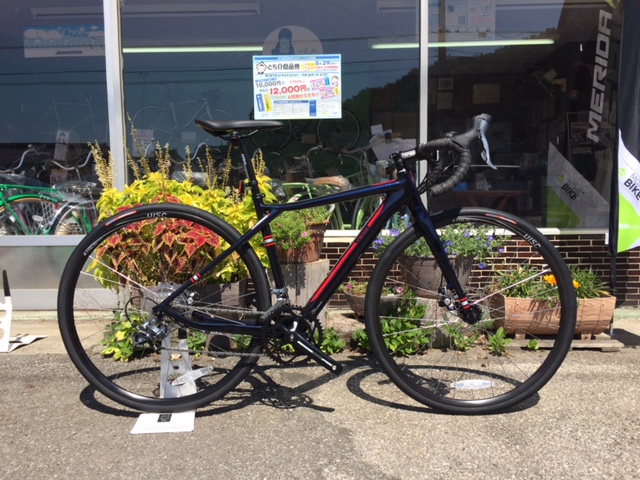 ��M ����֋�blog