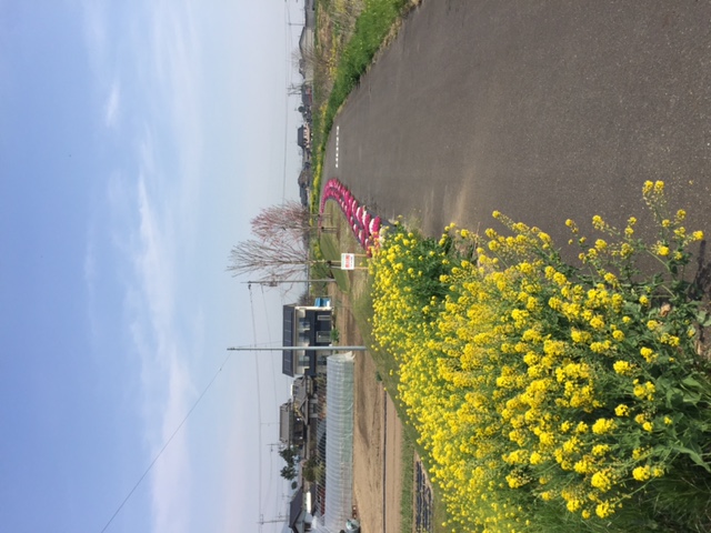 ��M ����֋�blog