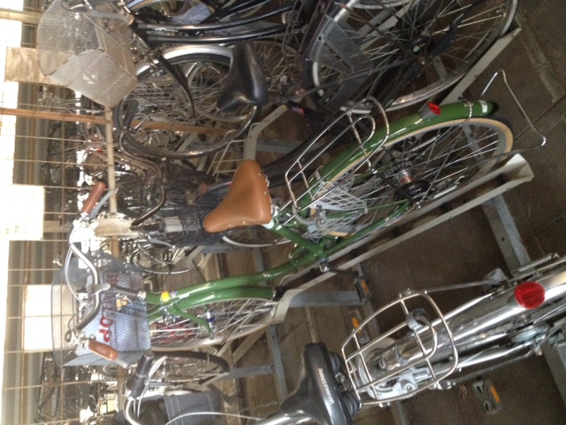 ��M ����֋�blog