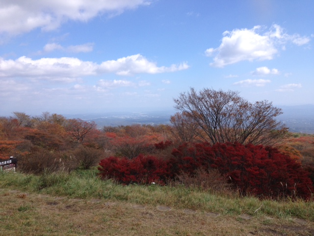 ��M ����֋�blog