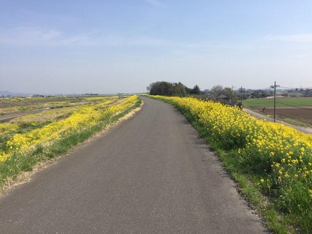 ��M ����֋�blog