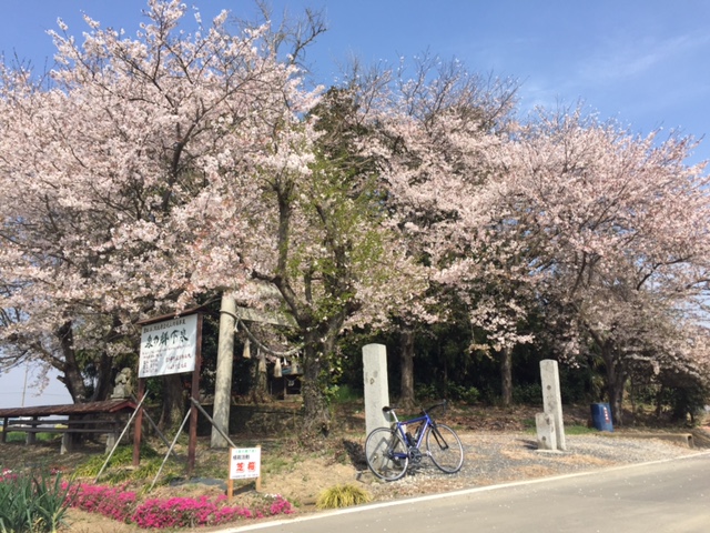 ��M ����֋�blog