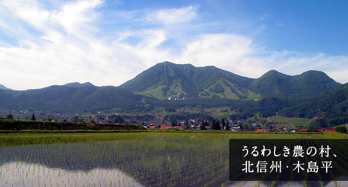 ��M ����֋�blog