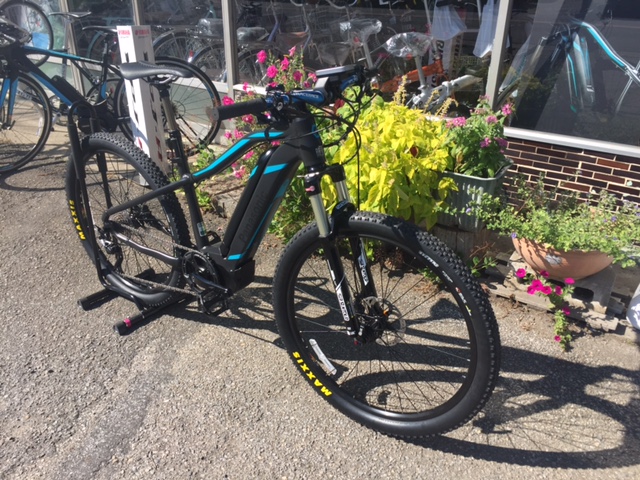 ��M ����֋�blog