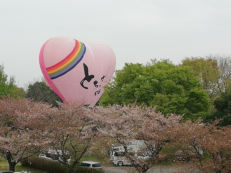 ��M ����֋�blog