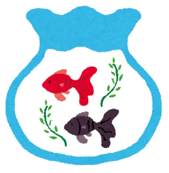 ��M ����֋�blog