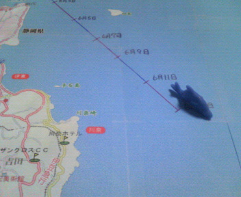 �y�����j���ŁI���������������I�I