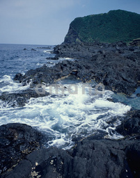 �y�����j���ŁI���������������I�I