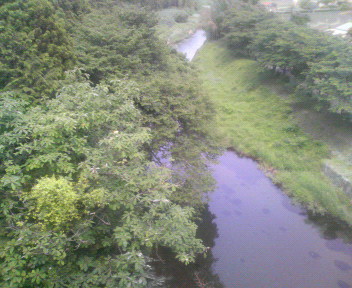 �y�����j���ŁI���������������I�I