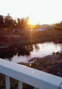 �݁[�����˂�����Ƃ�������[�@���[����Q