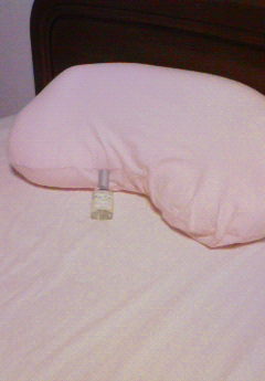 �݁[�����˂�����Ƃ�������[�@���[����Q