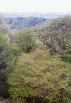 �݁[�����˂�����Ƃ�������[�@���[����Q