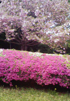 �݁[�����˂�����Ƃ�������[�@���[����Q