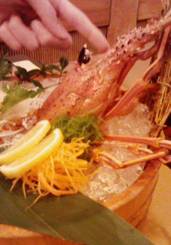 �݁[�����˂�����Ƃ�������[�@���[����Q