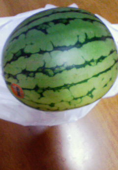 �݁[�����˂�����Ƃ�������[�@���[����Q