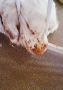 �݁[�����˂�����Ƃ�������[�@���[����Q