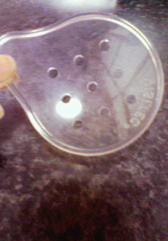 �݁[�����˂�����Ƃ�������[�@���[����Q