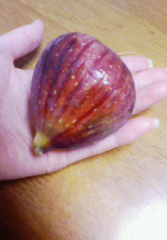 �݁[�����˂�����Ƃ�������[�@���[����Q