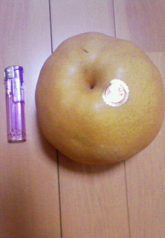 �݁[�����˂�����Ƃ�������[�@���[����Q