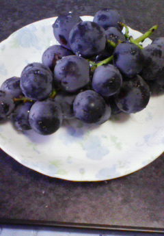 �݁[�����˂�����Ƃ�������[�@���[����Q