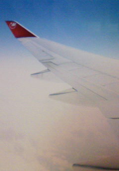 �݁[�����˂�����Ƃ�������[�@���[����Q