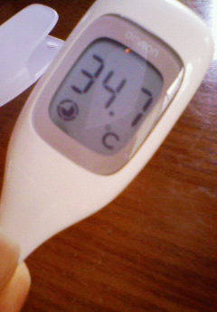 �݁[�����˂�����Ƃ�������[�@���[����Q