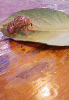 �݁[�����˂�����Ƃ�������[�@���[����Q