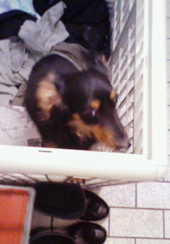 �݁[�����˂�����Ƃ�������[�@���[����Q