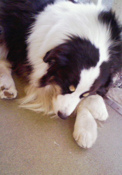 �݁[�����˂�����Ƃ�������[�@���[����Q