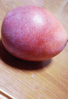 �݁[�����˂�����Ƃ�������[�@���[����Q