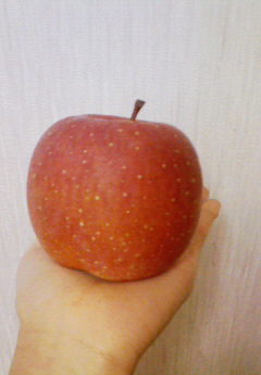 �݁[�����˂�����Ƃ�������[�@���[����Q