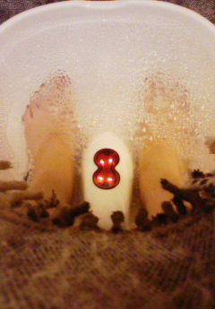 �݁[�����˂�����Ƃ�������[�@���[����Q