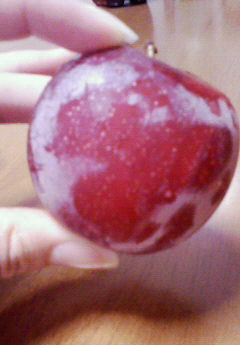 �݁[�����˂�����Ƃ�������[�@���[����Q