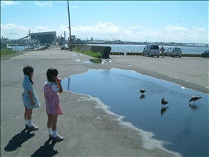 �s�������ᔻ