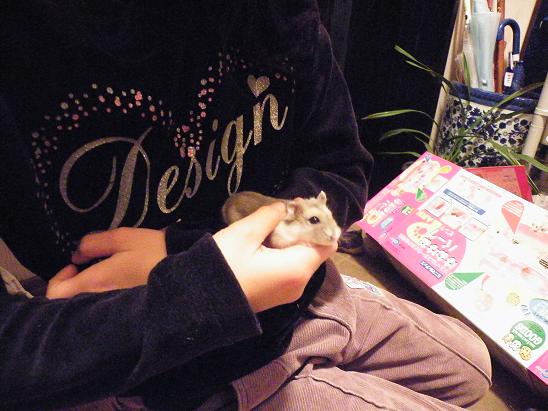 �n���n���n�E�X