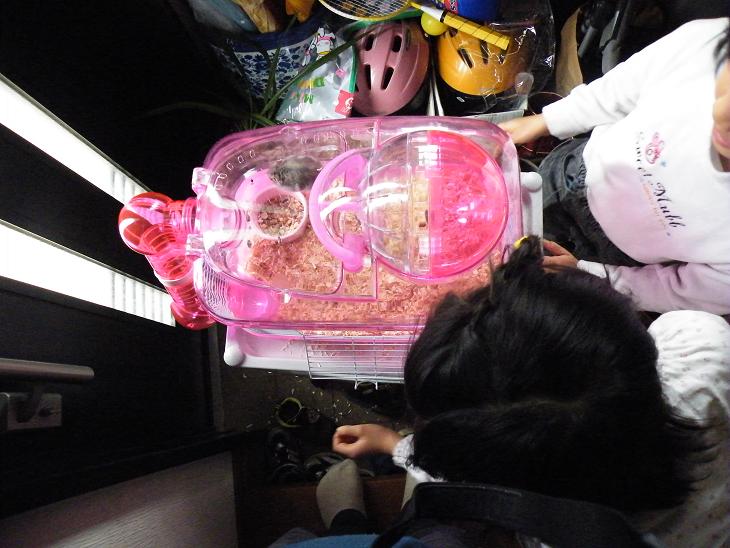 �n���n���n�E�X