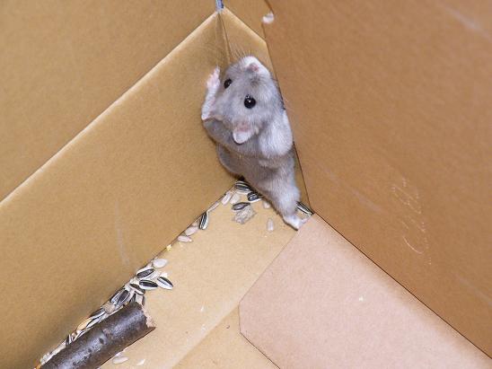 �n���n���n�E�X