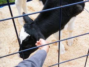 �n���n���n�E�X