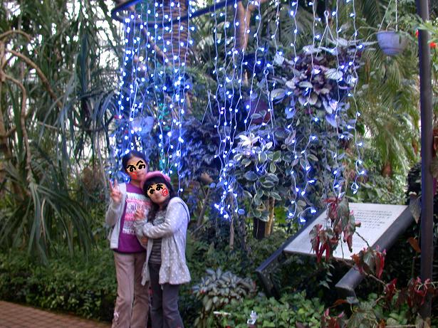 �n���n���n�E�X