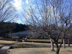 �n���n���n�E�X