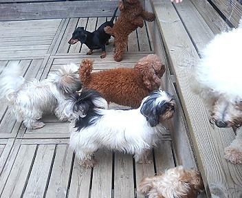 �~���Z�́E�E�E�E�E�E