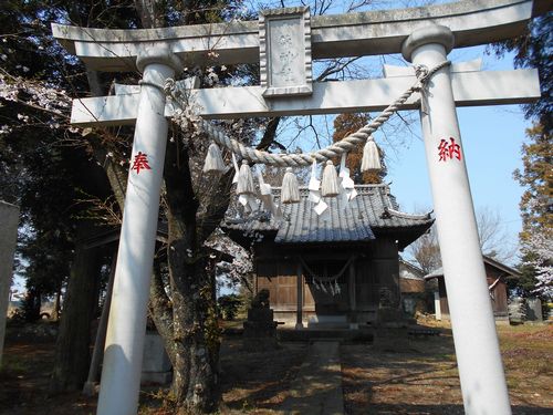 �O���l���i�C���X�g���΂���I�j