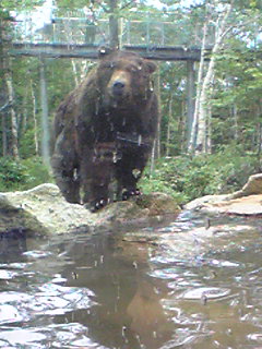 �����̃X���X�����L