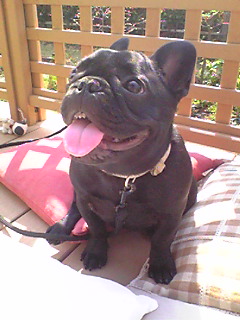 �����̃X���X�����L