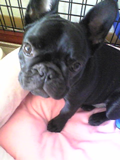 �����̃X���X�����L