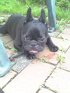 �����̃X���X�����L