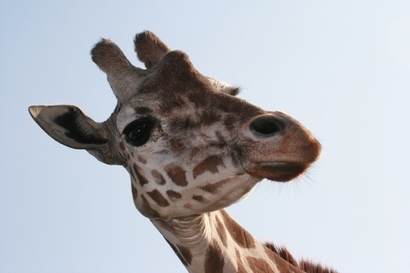 �����̃X���X�����L